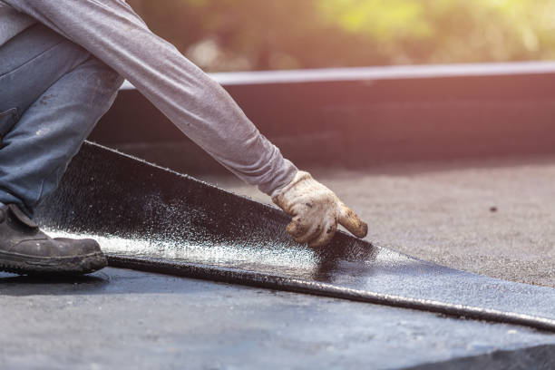 Professional Interior Drainage System technician working in Ludlow Falls, OH